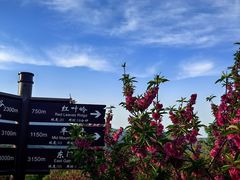 -北京西山国家森林公园