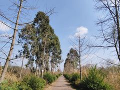 -白鹭湾湿地公园