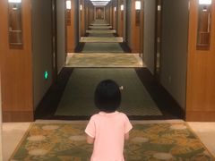 -常州武进九洲喜来登酒店