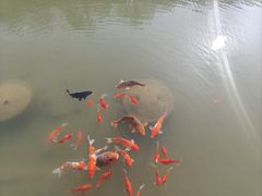 -陶祖圣境风景区