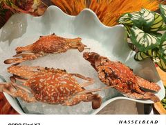 -广州万富希尔顿酒店-感趣自助餐厅·生蚝海鲜刺身