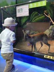 -未来动物城动物主题公园(大悦城店)