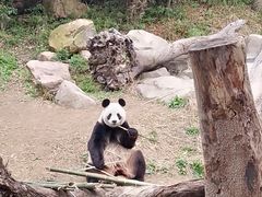 -宁波野生动物园