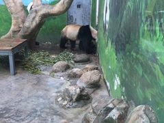 -西安秦岭野生动物园