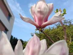 -星巴克(上海交通大学店)