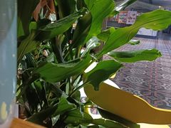 -云海肴·汽锅鸡·云南代表菜(天山百盛优客店)