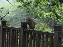 -黔灵山公园-南门售票处