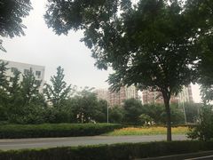 -渝是乎川渝小炒(新世界百货望京店)