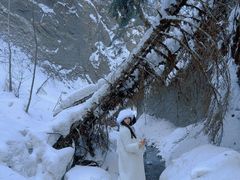 -峡谷浮石林景区