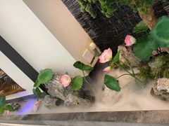 -大榕树下顺德菜(融创茂店)
