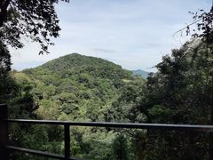 -广州市帽峰山景区