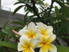 -厦门国家会计学院