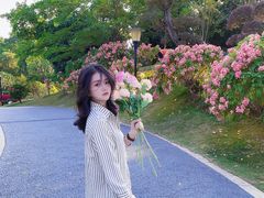 -东莞植物园