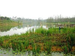 -白鹭湾湿地公园