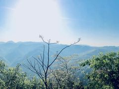 -藏龙百瀑风景区