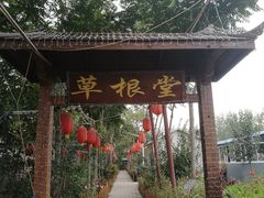 -草根堂农场