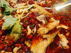 -蛙蛙鸡冷锅鱼(驷马桥店)