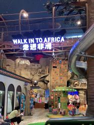 -卡通尼·Safari非洲探索乐园·生日会(金桥国际商业广场店)