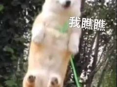 -喜洋洋量贩式KTV(唐人中心店)