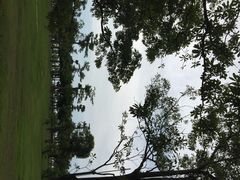 iphone_upload_pic-万绿园