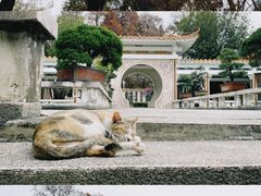 -中山公园