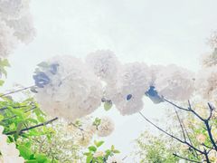 -大龙山(地铁站)