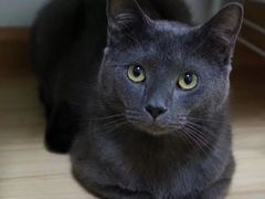 -满堂春特色餐馆