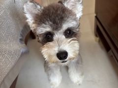 -FAELING PETS美天灵宠物(合生汇店)