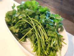 香菜-沁原羔羊火锅(大板镇店)