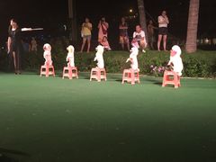 -渔家火锅·海鲜自助餐·演艺(亚龙湾天域酒店)