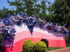 -荷兰花海