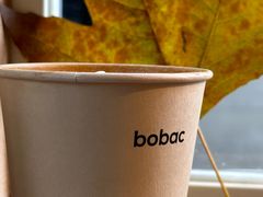 -BOBAC