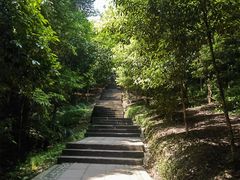 -凤栖山