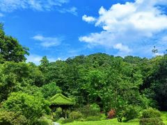 -云溪植物园
