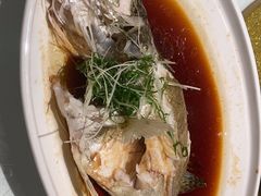 -金河半岛园林酒家(金融城店)