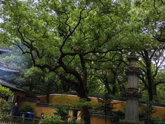 -普陀山风景名胜区-法雨禅寺