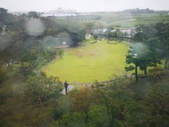 -雪绿茶博物馆