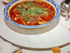-新概念来凤鱼(璧山店)