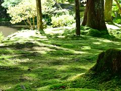 -西芳寺(苔寺)