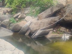 -黑龙潭风景区