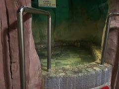 -兴芮温泉度假区