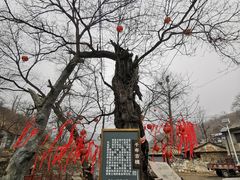 -水峪民俗村