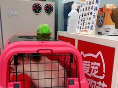 -纳吉亚猫专科动物医院·北北分院