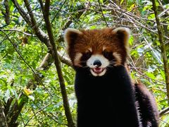 -普洱太阳河森林公园