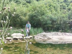 -武汉姚家山旅游景区