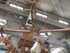 -南宫五洲植物乐园