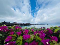 -卡帕莱度假村(西巴丹岛)