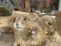 -珠海海泉湾神秘岛亲子乐园