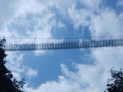 -九龙江国家森林公园