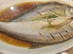 清蒸白鱼-金谷大厦酒店-黑土优品1号餐厅